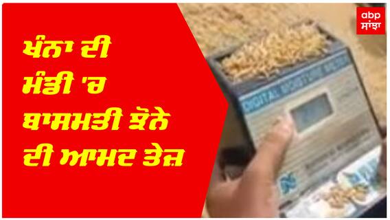 Khanna ਦੀ ਮੰਡੀ 'ਚ ਬਾਸਮਤੀ ਝੋਨੇ ਦੀ ਆਮਦ ਤੇਜ਼