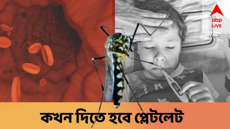 Dengue necessity of platelet transfusion in the management of dengue, ABP Live Exclusive Dengue : ডেঙ্গি রোগীকে কখন প্লেটলেট দিতেই হবে ? প্রয়োজন ছাড়া দিলে কি ক্ষতি ?