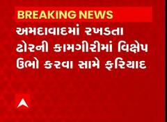Ahmedabad : રખડતા ઢોર પકડવાની કામગીરીમાં વિક્ષેપ કરનાર શખ્સ સામે પોલીસ ફરિયાદ