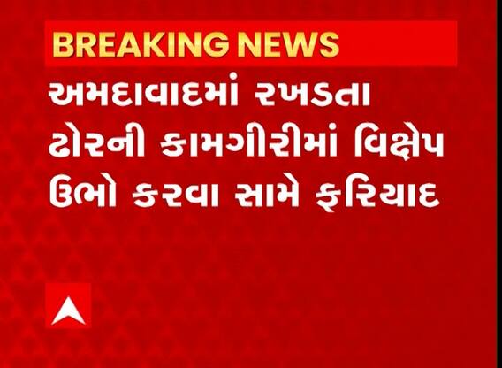Ahmedabad : રખડતા ઢોર પકડવાની કામગીરીમાં વિક્ષેપ કરનાર શખ્સ સામે પોલીસ ફરિયાદ