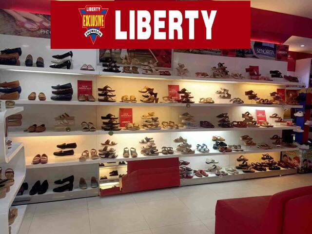 Liberty Shoes Shares: 17% 17% జంప్‌తో రికార్డ్‌ గరిష్టాన్ని చేరిన లిబర్టీ షూస్‌
