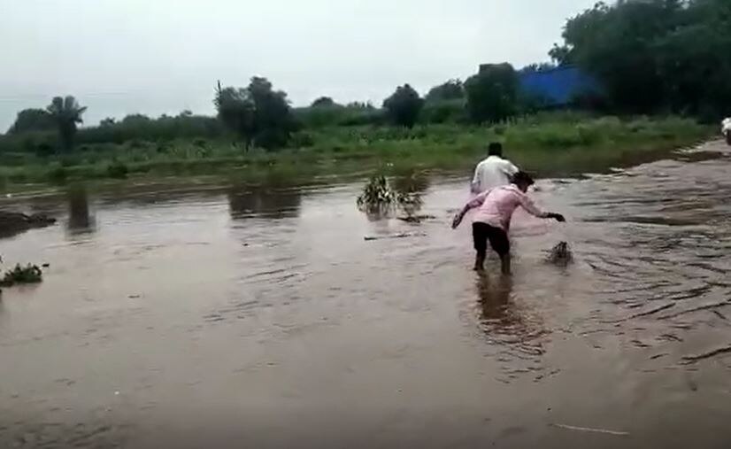Beed Rain News :  बीड जिल्ह्यात ढगफुटी सदृश्य पाऊस, उडीद , मूग, कांदा पिकांचं मोठं नुकसान, शेतकऱ्यांची मदतीची मागणी