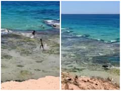 समुद्र में नहाते समय पीछे पड़ा खूंखार जानवर, लोगों ने भागकर बचाई जान