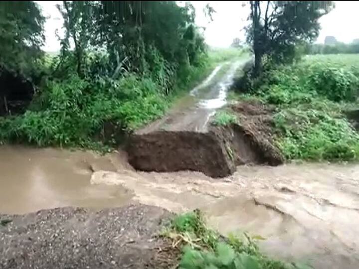 Beed Rain News Heavy rain in Beed district, heavy loss of agricultural crops  Beed Rain News :  बीड जिल्ह्यात ढगफुटी सदृश्य पाऊस, उडीद , मूग, कांदा पिकांचं मोठं नुकसान, शेतकऱ्यांची मदतीची मागणी