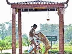 पढ़ें बस्तर के 'द टाइगर बॉय' चेंदरू की कहानी, रातों-रात बन गया था हॉलीवुड 'स्टार'