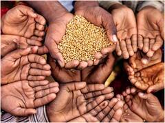 मोदी सरकार ने दुनिया में सबसे ज्यादा लोगों को दिया मुफ्त में राशन, PMGKAY पर खर्च हुए 3.40 लाख करोड़ रुपये