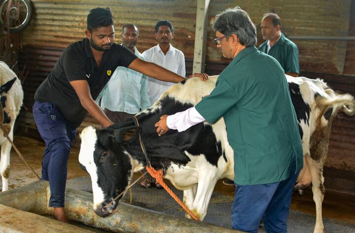 अब तक उदयपुर संभाग मे 3 लाख 83 हजार 374 पशुओं मे इस रोग के बचाव का टीका लगाया जा चुका है.