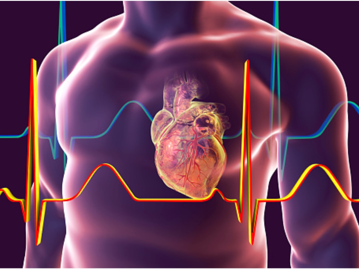 Health Update: पैदल चलकर टाला जा सकता है हार्ट अटैक का खतरा, शुगर मरीजों के लिए भी फायदेमंद