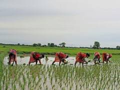 ATMA Scheme: આધુનિક ખેતીથી વધશે ખેડૂતોની આવક, તમે પણ ઉઠાવો આ શાનદાર યોજનાનો ફાયદો