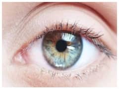 Health Tips : डोळ्यांशी संबंधित आजारांविषयी जागरूक राहा; रेटिनाच्या आरोग्यासाठी 'हे' आहेत प्रतिबंधात्मक उपाय