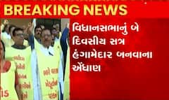 વિધાનસભાના સત્ર પહેલા જ પરિસરના પગથિયા પર જ કરી દીધો વિરોધ શરૂ, જોઈ લો આ વીડિયો