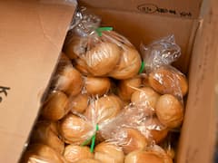 US: 48 People Charged For Running Covid Fraud Scheme Worth $250 Million