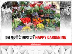 Home Gardening: घर में सर्दियों तक पहुंच जायेगी बसंत जैसी बहार, इन फूलदार पौधों के साथ शुरू करें हैप्पी गार्डनिंग