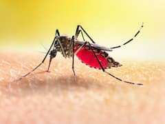 जानिए क्या है हड्डी तोड़ बुखार? जिसकी चपेट आई BCCI अध्यक्ष की पत्नी