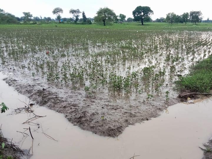 maharashtra News Aurangabad News 1106 crore of crop loss in Marathwada It will be deposited in the bank accounts from Thursday Agriculture: मराठवाड्यातील पीक नुकसानीचे 1106 कोटी आले; गुरुवारपासून बँक खात्यांत जमा होणार