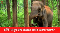 হাতি-মৃত্যু ঠেকাতে গজমিত্র বাহিনী, আসছে অ্যাপ