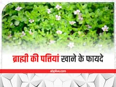 बालों को ही नहीं सेहत भी चमका सकता है ब्राह्मी, इन 4 समस्याओं को करता है दूर
