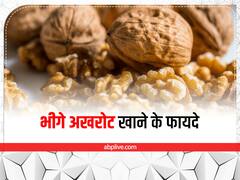 Soaked Walnuts Benefits: अखरोट पचाने में आती है दिक्कत तो ऐसे करें इसका सेवन, मिलने लगेंगे कई फायदे