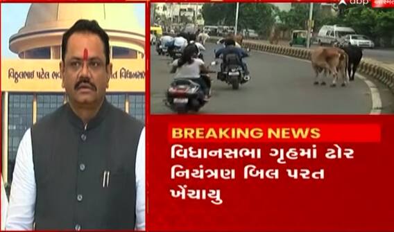 ઢોર નિયંત્રણ કાયદો પરત લેવા અંગે જીતુ વાઘાણીએ શું કહ્યું?, જોઈ લો આ વીડિયો