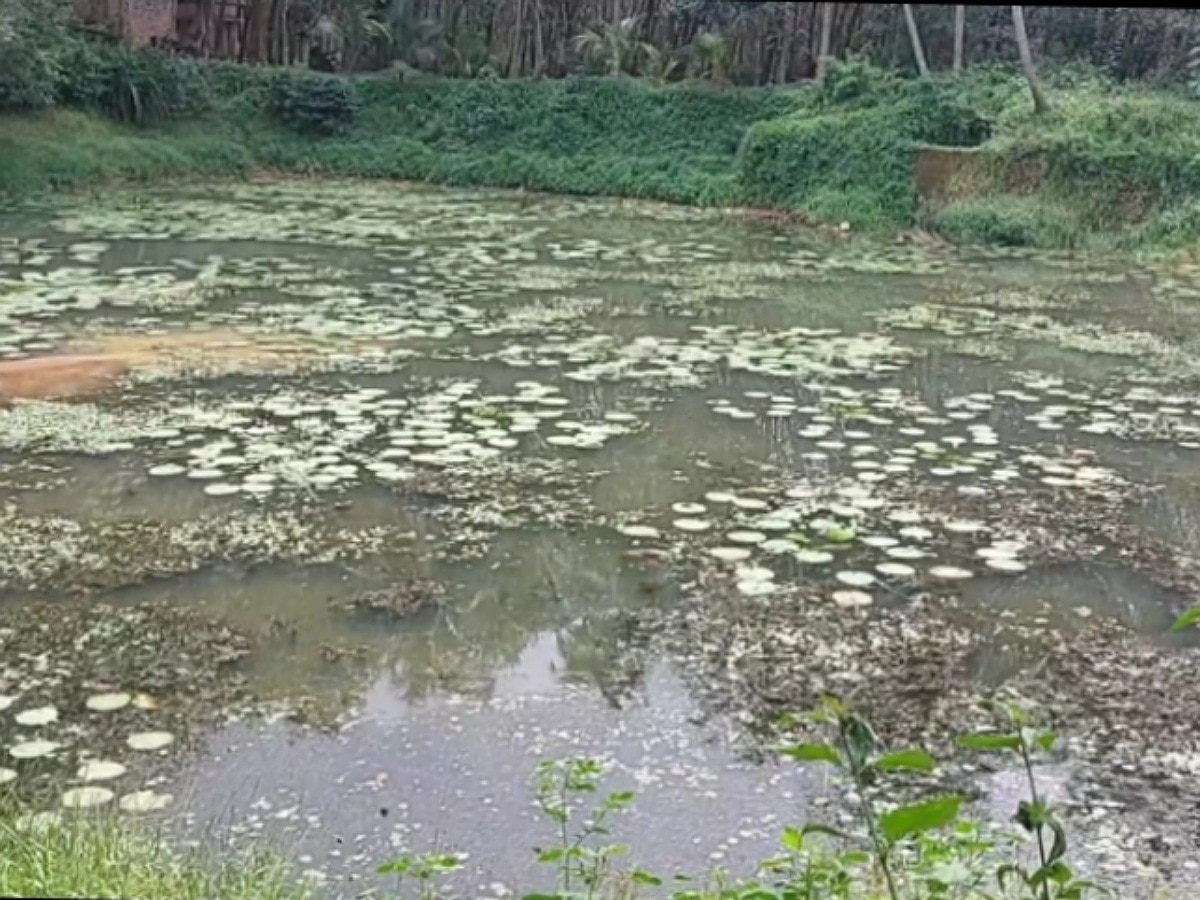 கன்னியாகுமரியில் தண்ணீர் செல்லும் கால்வாயை மூடி சாலை அமைத்த கல்குவாரிகள்!