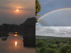 In Pics: बारिश के बाद भरतपुर में लौटा सुकून, किसानों के चेहरे पर आई रौनक, देखें शानदार तस्वीरें