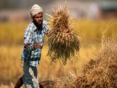 पराली न जलाएं बल्कि पैसे बचाएं किसान, पराली मैनेजमेंट के लिए मिलेंगे प्रति एकड़ 1,000 रुपये