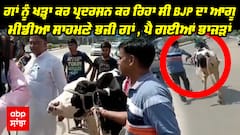 ਗਾਂ ਨੂੰ ਖੜ੍ਹਾ ਕਰ ਪ੍ਰਦਰਸ਼ਨ ਕਰ ਰਿਹਾ ਸੀ BJP ਦਾ ਆਗੂ, ਮੀਡੀਆ ਸਾਹਮਣੇ ਭਜੀ ਗਾਂ , ਪੈ ਗਈਆਂ ਭਾਜੜਾਂ