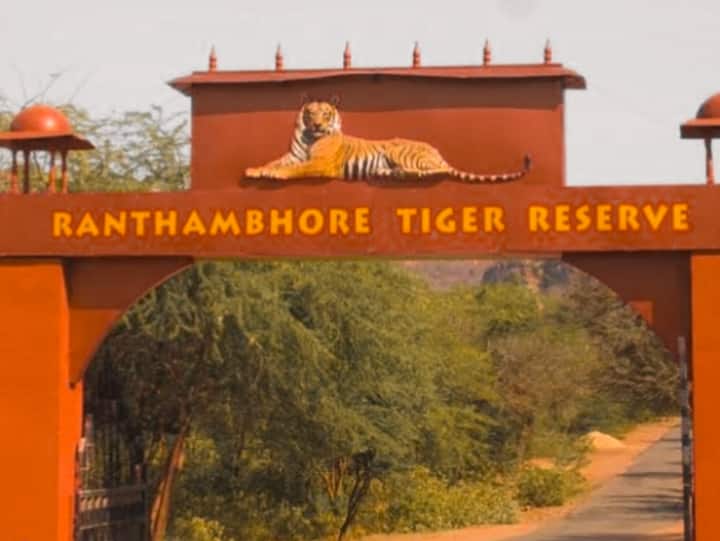 Rajasthan News in Ranthambore National Park tourists will get the facility to choose the zone and refund ann Ranthambore National Park: रणथम्भौर जाने वालों के लिए खुशखबरी! रिफंड से लेकर जोन चुनने तक अब पर्यटकों को मिलेंगी ये सुविधाएं
