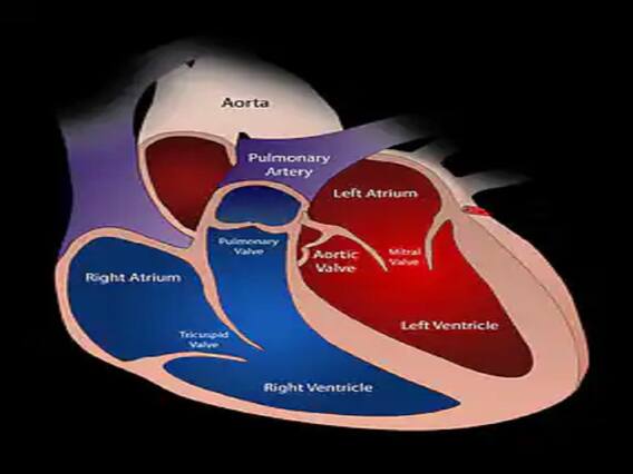 Heart attack: Your 'in' habits can increase your risk of heart attack Heart attack: Your 'in' habits can increase your risk of heart attack