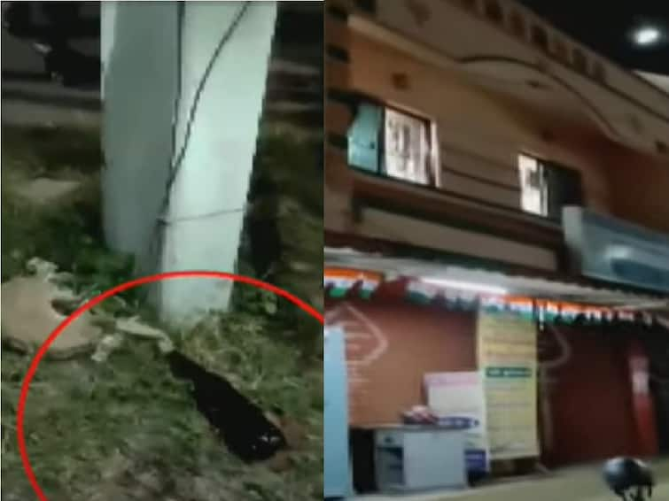 Coimbatore Petrol Bomb Hurled at BJP Office Covai Check Details Petrol Bomb Attack: கோவை பாஜக அலுவலகத்தில் பெட்ரோல் குண்டுவீச்சு - தொடரும் பதற்றம்!