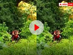 जांबाज पुलिस जवान ने 50 फीट खाई में उतरकर ऐसे बचाई ट्रक ड्राइवर की जान, देखें वीडियो