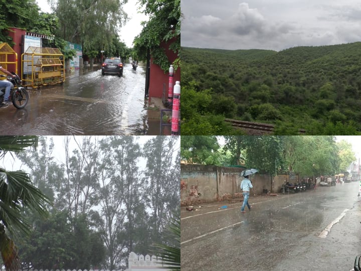 भरतपुर जिले को सरसों उत्पादक जिला माना जाता है. भरतपुर में सरसों की फसल अच्छी होती है बरसात से सरसों की बुवाई का रकबा भी बढ़ेगा.