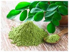 તુલસી, કેરી, મેથી સહિત આ 7 છોડના પાનથી અનેક રોગો દૂર થાય છે, જુઓ સંપૂર્ણ યાદી