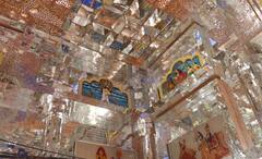 Durga Puja 2022: মা আসছেন কৈলাস থেকে, খাতিরযত্ন শিশমহলেই, সেজে উঠছে মহম্মদ আলি পার্ক