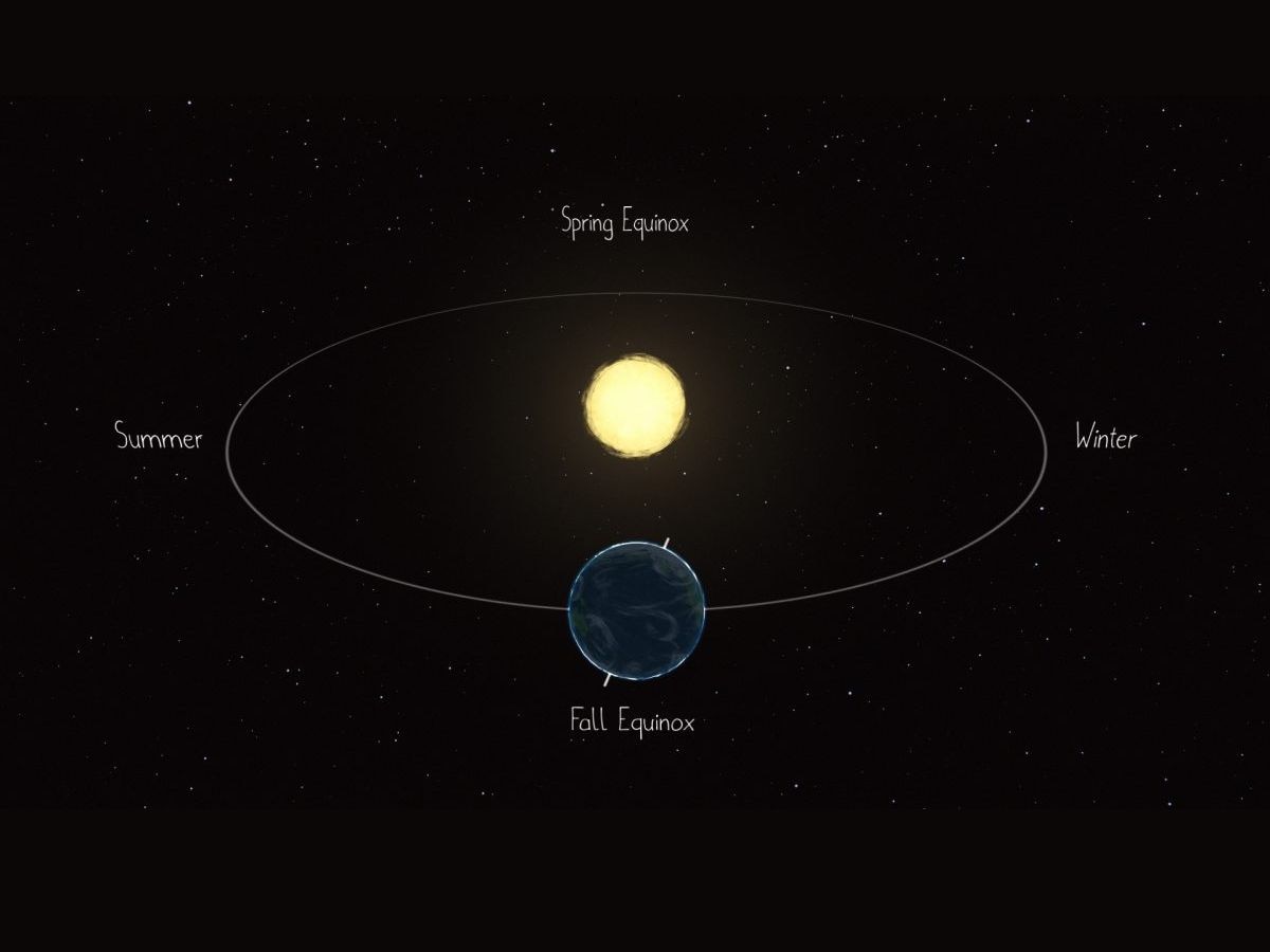 During the equinoxes, both the northern and southern hemispheres receive equal amounts of daylight
