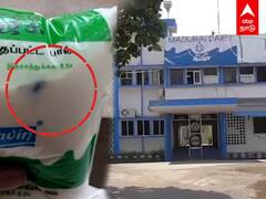 Aavin Milk Packet Issue : ஆவின் பாலில் ஈ...உடனே பாய்ந்த நடவடிக்கை