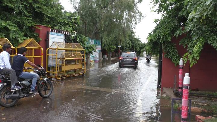 भरतपुर जिले को सरसों उत्पादक जिला माना जाता है. भरतपुर में सरसों की फसल अच्छी होती है बरसात से सरसों की बुवाई का रकबा भी बढ़ेगा. अब हो रही बरसात से खेतों में अच्छी नमी रहेगी और नमी से किसान सरसों की बुवाई ज्यादा कर सकेंगे. भरतपुर जिले से देश के कई राज्यों में सरसों और सरसों का तेल भी सप्लाई किया जाता है.