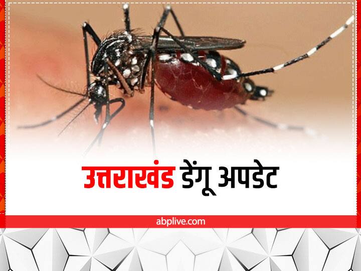 Uttarakhand Dengue Update 39 cases came so far on Wednesday Dehradun has highest infected people ann Uttarakhand Dengue Update: उत्तराखंड में बुधवार को मिले डेंगू के 39 नए मरीज, देहरादून में आए सबसे ज्यादा केस
