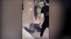 Iran Hijab Row: Protests turn violent as locals resort to vandalism | ABP News