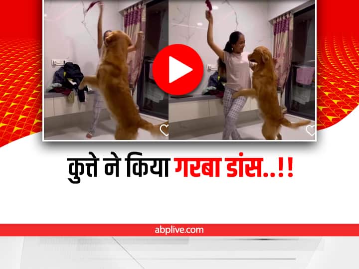 Dog doing Gujrati Traditional Garba dance with girl winning internet users viral video on social media Viral Video: लड़की के साथ गरबा करते कुत्ते का वीडियो हो रहा है वायरल, आप भी देखिए 
