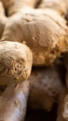 Health Tips : मधुमेहापासून ते पचनक्रिया सुधारण्यापर्यंत वाचा आल्याचे फायदे