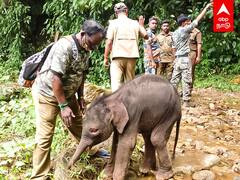 Nilgiri : தாயை பிரிந்த குட்டியானை 2 மணிநேரத்தில் சேர்த்த வனத்துறை