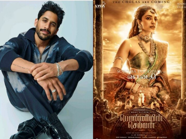 Naga Chaitanya Likes Sobhita Dhulipala's Instagram Post About Ponniyin ...