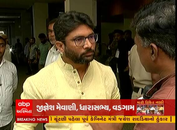 હવે જો ચૂંટાઈને આવીશ તો છોતરા કાઢીશ: જીગ્નેશ મેવાણીએ કોને આપી ચીમકી, જૂઓ વીડિયોમાં
