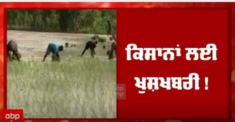 Good News For farmer - ਪਹਿਲੇ ਦਿਨ ਤੋਂ ਹੀ ਕਿਸਾਨਾਂ ਦੇ ਖਾਤਿਆਂ ਵਿੱਚ ਫਸਲ ਦਾ ਭੁਗਤਾਨ ਹੋਵੇਗਾ- ਮਾਨ