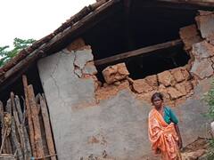 बलरामपुर में हाथियों ने तोड़ा सरपंच का घर, तीन मवेशियों को कुचलकर मार डाला