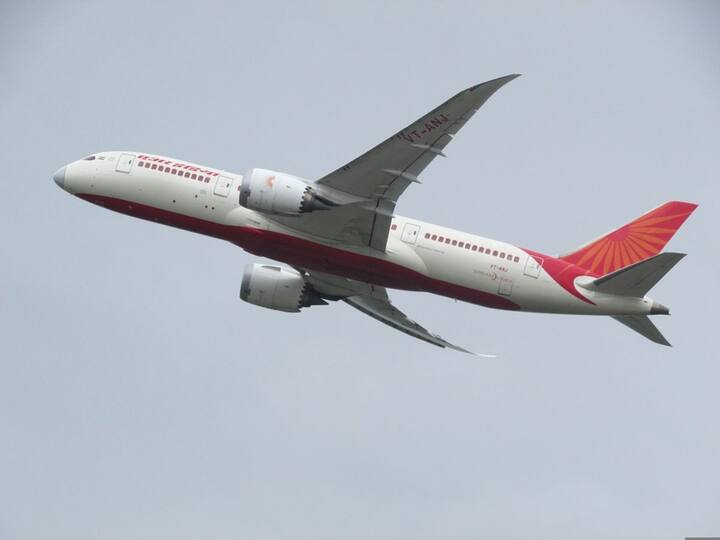 Air India Vistara AirAsia India Likely to Merge by 2024 Tata Group Merger Plan Tata Group Merger Plan: ఎయిర్‌ ఏషియా, విస్తారాకు రాంరాం - ఎయిర్‌ ఇండియాలోకి విలీనం!