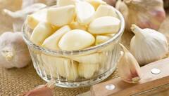 Winter Diet for Healthy Lifestyle : ਠੰਢ ਦੇ ਮੌਸਮ 'ਚ ਅਪਣਾਓ ਇਹ ਖਾਣ-ਪੀਣ, ਬਿਮਾਰੀਆਂ ਰਹਿਣਗੀਆਂ ਦੂਰ