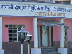 जबलपुर और भोपाल में होगी लंपी वायरस के सैंपल की जांच, जानें अब तक कितने मवेशियों ने गंवाई जान