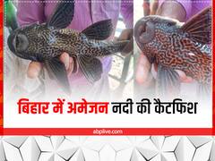बगहा में जब मछुआरे के जाल में फंस गई चार आंखों वाली अमेरिकन मछली, एक्सपर्ट ने माना खतरनाक